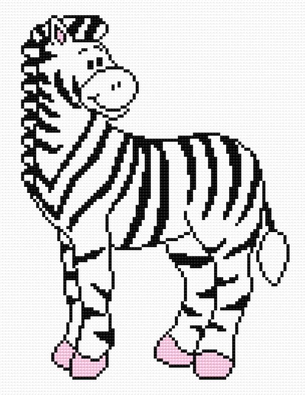 Zebra Pasio